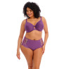 Elomi Charley Full Brief Pansy