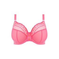 Elomi Matilda Plunge Bra EL8900WIY Wild Cherry