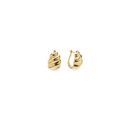 Pico Brooke Earrings T01016-FG Gold