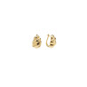 Pico Brooke Earrings T01016-FG Gold