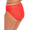 Elomi Charley High Leg Brief Salsa