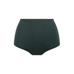 LingaDore 2-Pack High Waist Brief 1400HBW-1-157 Garden Green