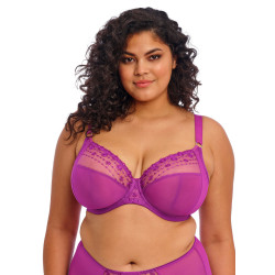 Elomi Matilda UW Plunge Bra 8900HOC Hollyhock