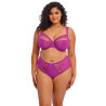 Elomi Matilda Full Brief EL8900HOC Hollyhock
