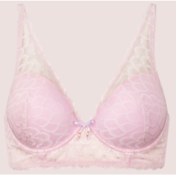 Missya Leia Bra Fill 14688...
