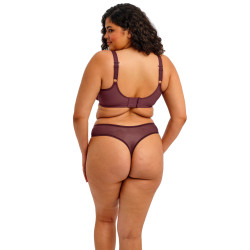 Elomi Matilda Thong...