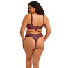 Elomi Matilda Thong EL8907SUM Sugarplum