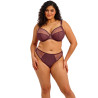 Elomi Matilda Thong EL8907SUM Sugarplum