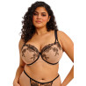 Elomi Teagan Padded Half Cup Bra Cafe Au Lait