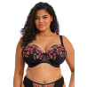 Elomi Teagan Padded Half Cup Bra Rainbow