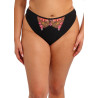 Elomi Teagan Thong Rainbow
