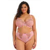Elomi Aerith UW Plunge Bra EL303602RO Rose