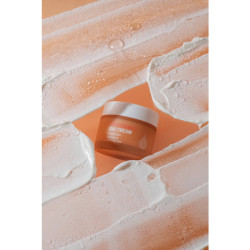 Pure & Care FACE Day Cream - Provitamin C