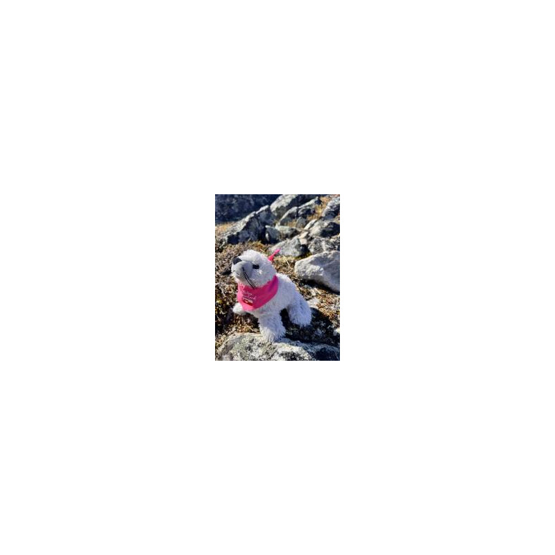 My Story Greenland - Seal w. Pink Scarf