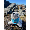My Story Greenland - Seal w. Blue Scarf