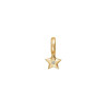 Enamel Charm Star Gold