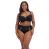 Elomi Brianna Full Brief EL8085BLK Black